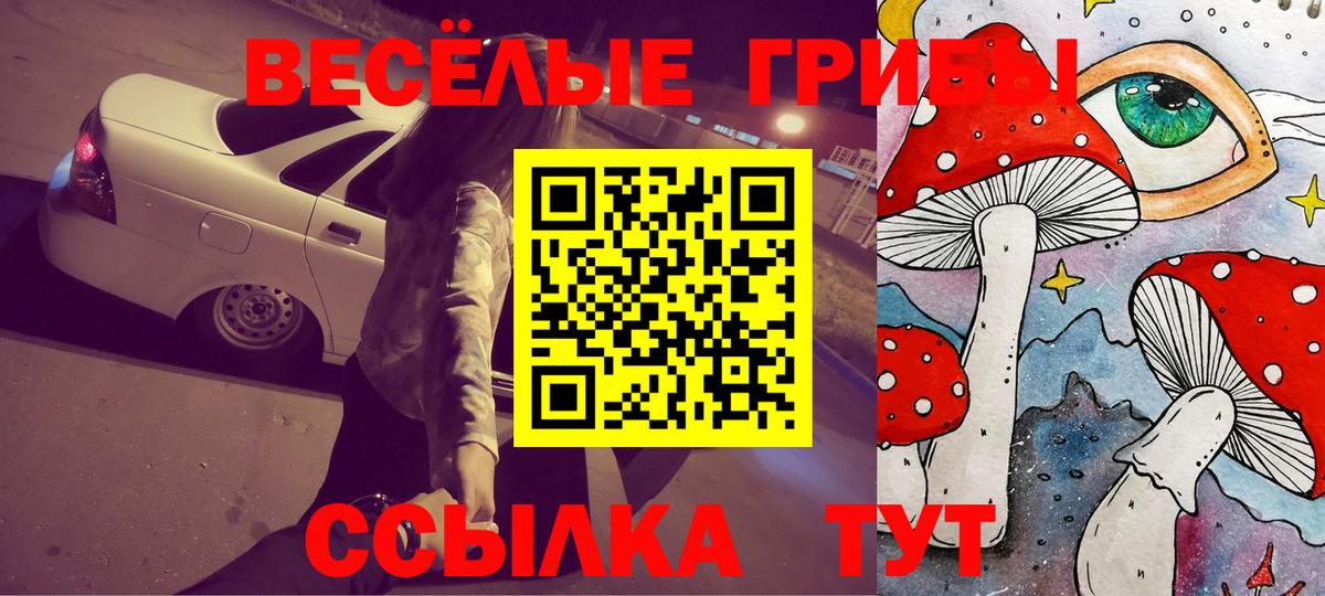 Галлюциногенные грибы ЛСД  Вход с VPN  Новоалтайск 