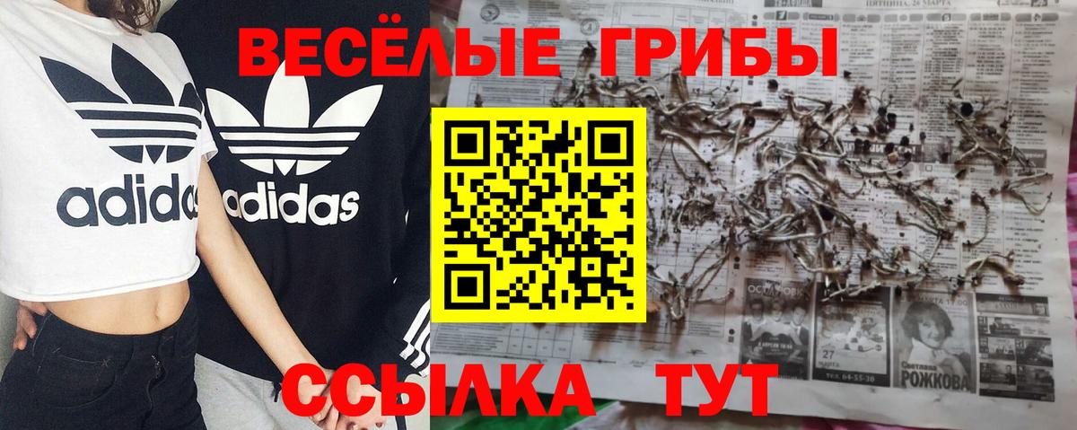 Галлюциногенные грибы ЛСД Новоалтайск
