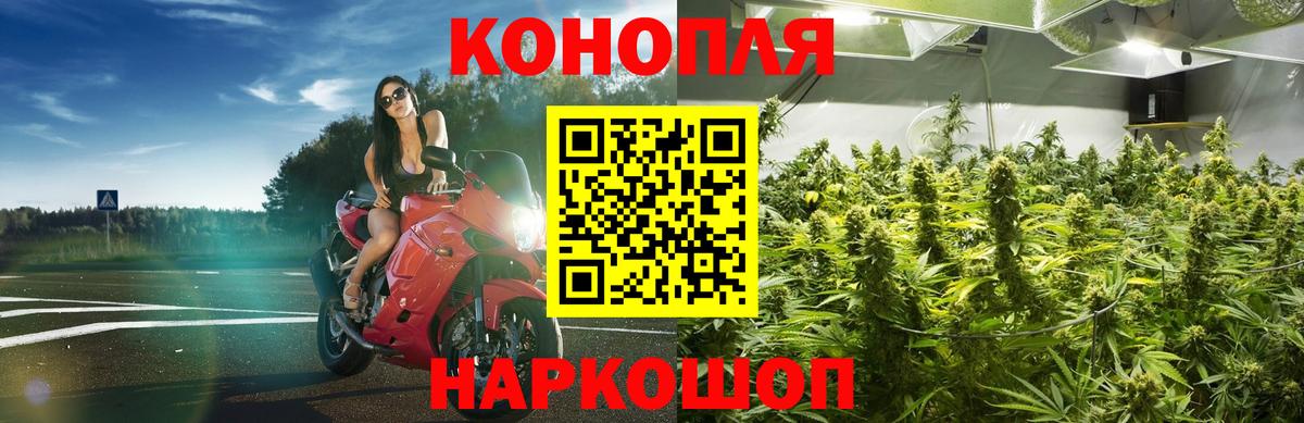 Бошки марихуана планчик Новоалтайск